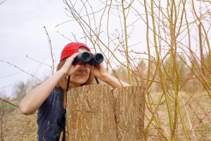 Osservare gli uccelli immersi nella natura: alla scoperta del birdwatching