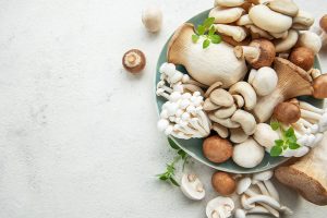 Le varietà di funghi commestibili