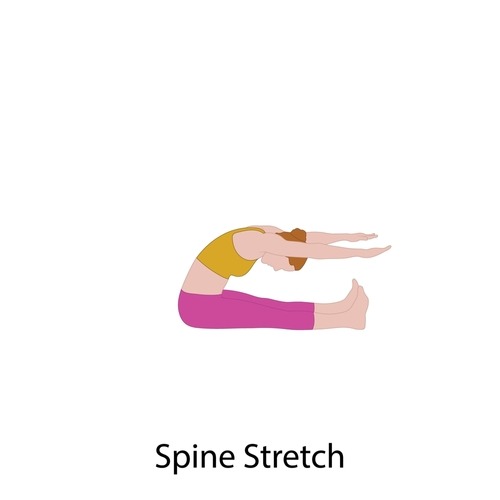 Spine stretch